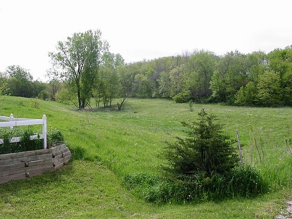 Open pasture