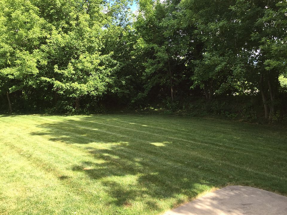 Backyard privacy