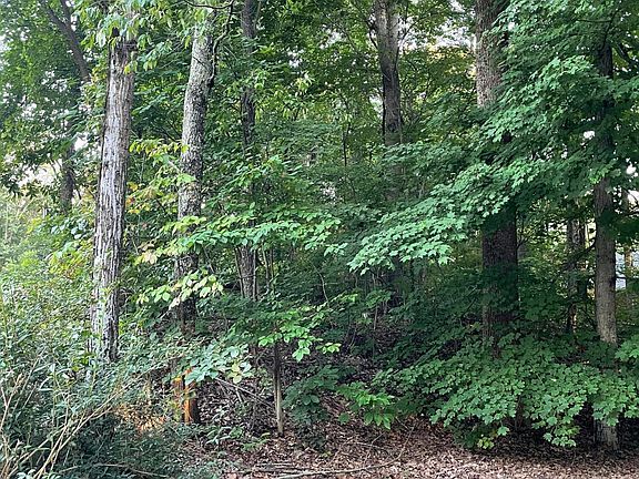 4th image of 4024 Eagles Nest Dr