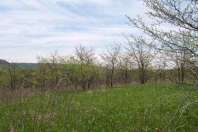 2nd image of LOT 6 W Hart John Rd #6