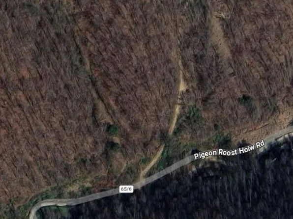0 Pigeon Roost Holw, Delbarton, WV 25670