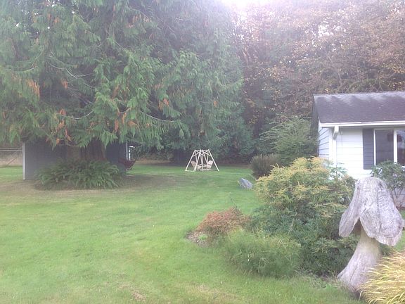 View toward back yard