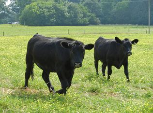 7968 Cr 1204, Rio Vista, TX 76093