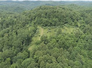 3980 Copen Rd, Copen, WV 26615