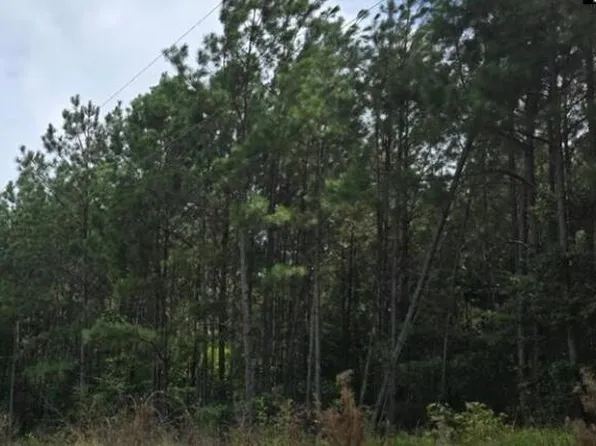 3A Old Edgefield Rd, Ninety Six, SC 29666