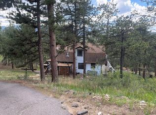 145 Bailey Dr, Bailey, CO 80421