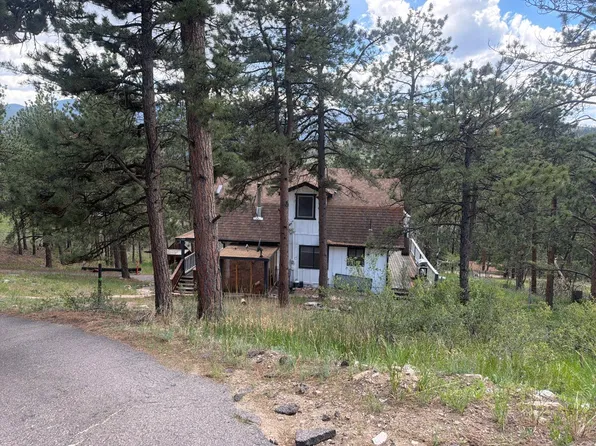 145 Bailey Dr, Bailey, CO 80421