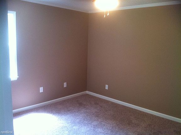 photo 2 (4)