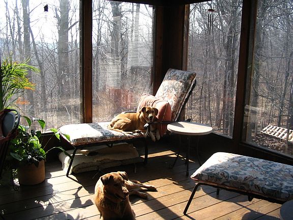Multi-season room looks at the park