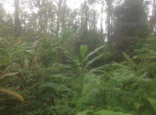 LOT 31 Lot 31, Volcano, HI 96785