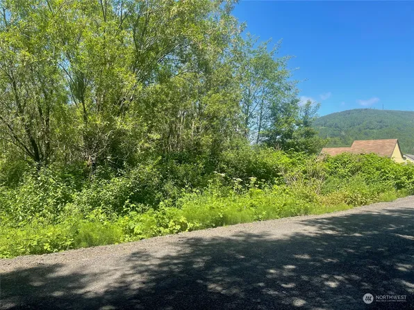0 X State Street, Raymond, WA 98577