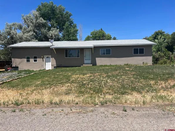 22161 Willow Lane, Eckert, CO 81418