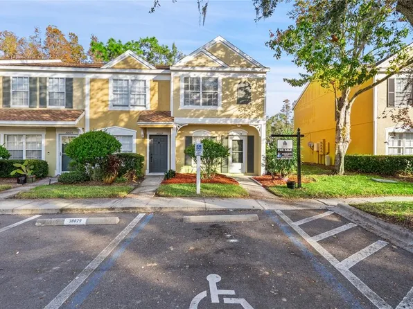 30029 Granda Hills Ct, Wesley Chapel, FL 33543
