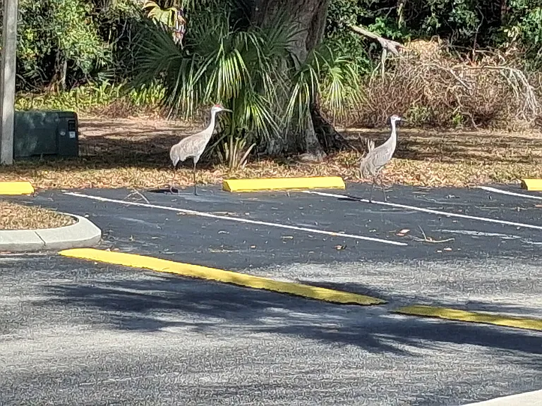 Village at Indigo Lakes Apts. — Photo 42