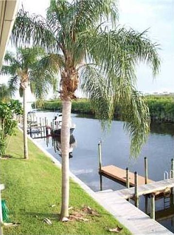 1st image of 8807 Bay Pointe Dr #207