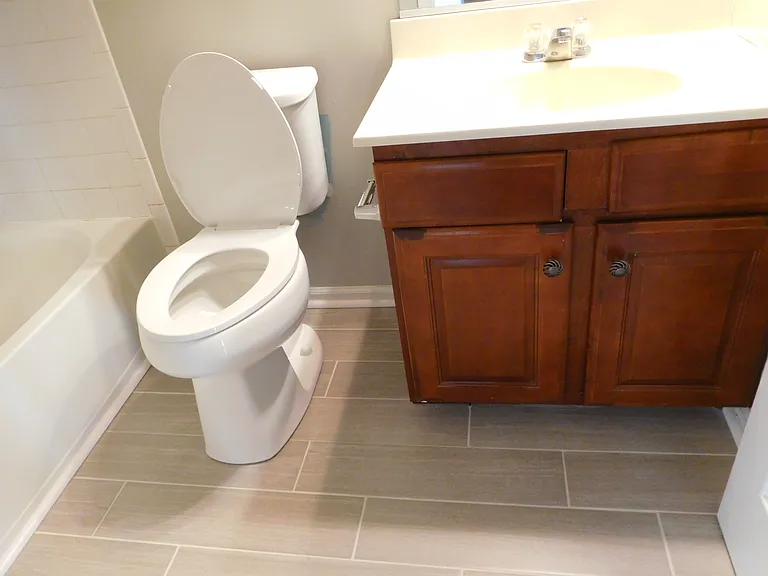 12420 Rollys Ridge Ave #1512 — Photo 28