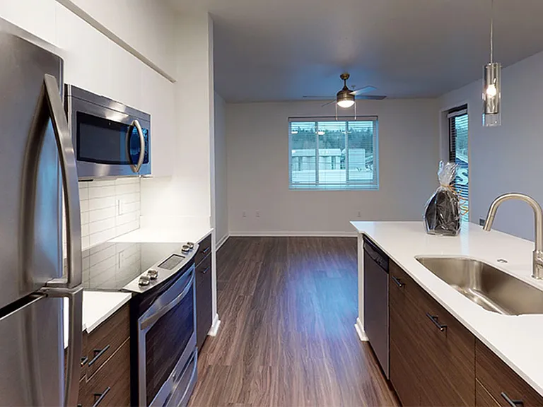 Apartment kitchen with stainless steel appliances, dining and living room with wood-style flooring.