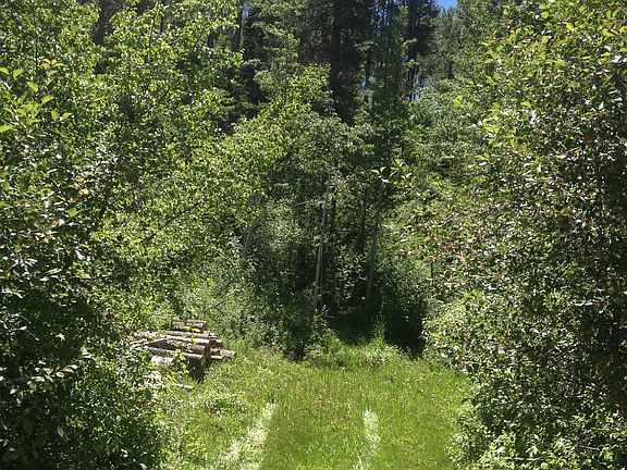 view entering from driveway