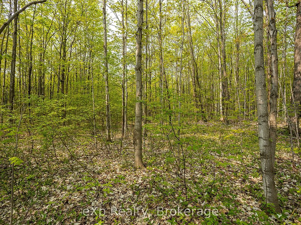 1st image of Connell Lake Rd Lot 20