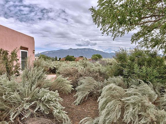 4th image of 601 Camino De La Tierra