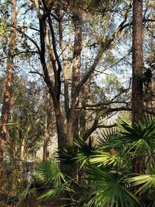 3205 Stanley Dr, Saint Augustine, FL, 32092