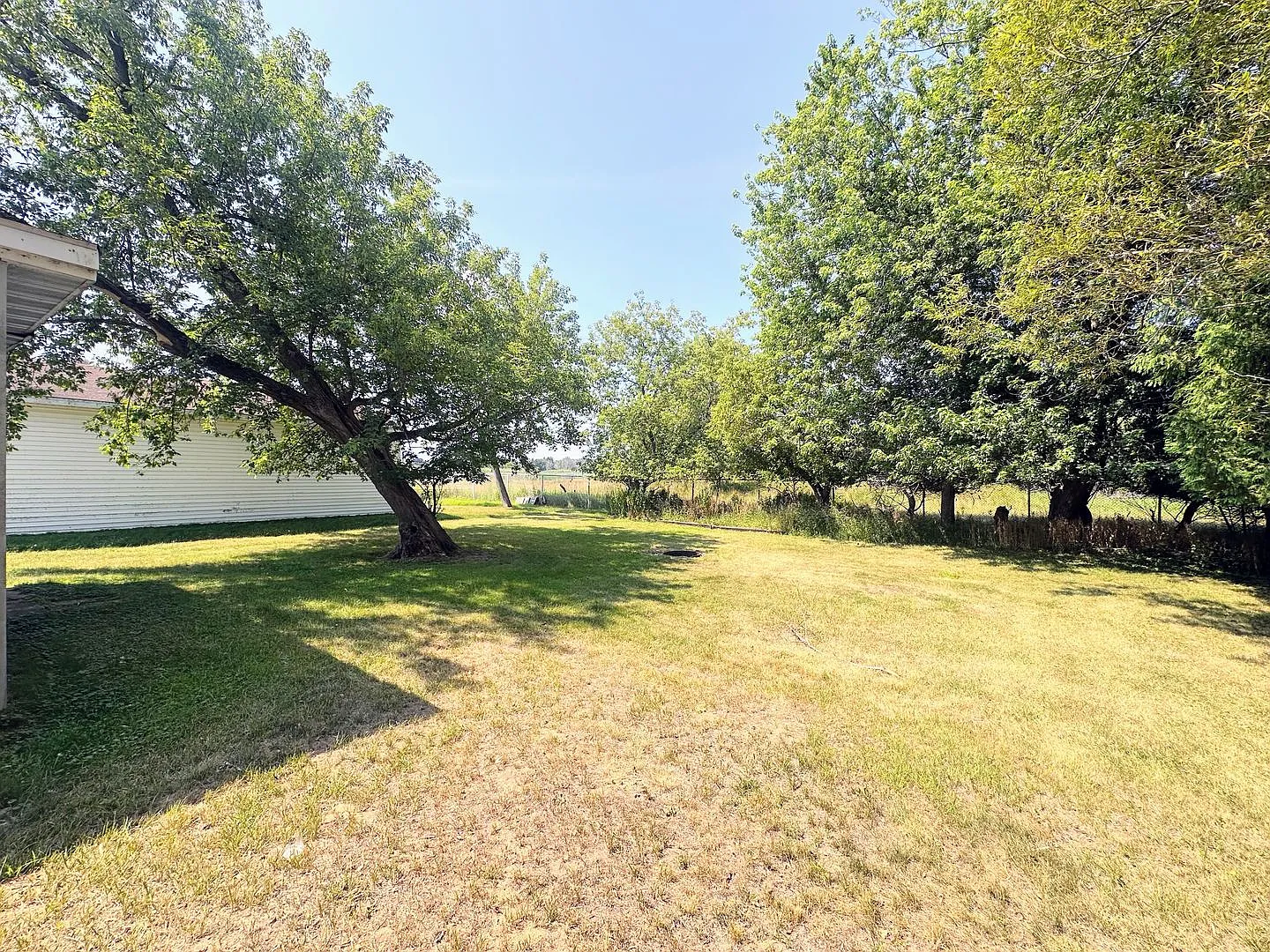 2212 School St. — Photo 4