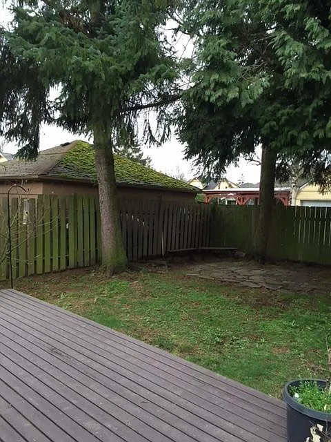 2 bed, 850 sqft, $2,900 — Photo 4
