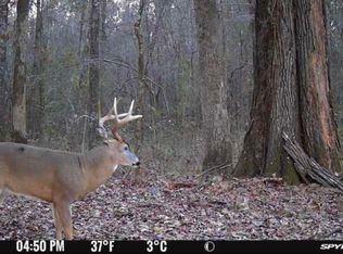 1851 Swamp Rd, Carthage, MS 39051