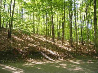 1022 Birchcrest Ct, Harbor Springs, MI 49740