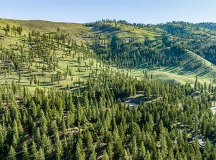 LOT 12 Stonefly Rd, Clinton, MT 59825