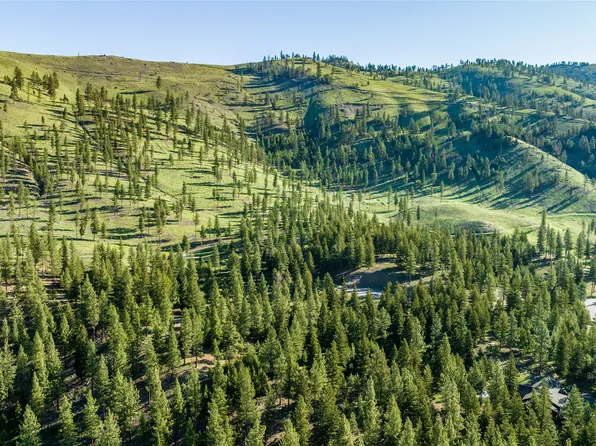 LOT 12 Stonefly Rd, Clinton, MT 59825