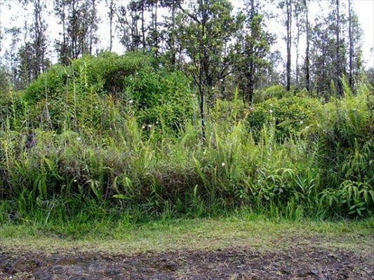 1st image of Road 9 Koloa Maoli Lot 5496