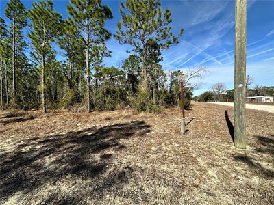 NE 19th St Lot 9, Williston, FL, 32696