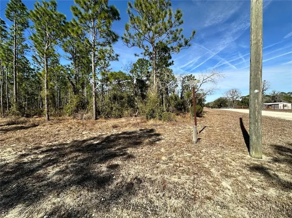 NE 19th St Lot 9, Williston, FL 32696
