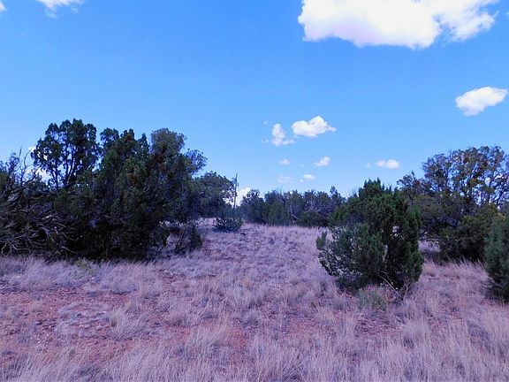 3rd image of 8332 Silver Creek Dr