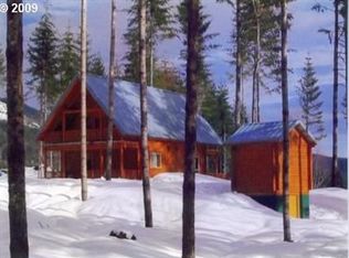 24 Swift Vlg #PVT, Cougar, WA 98616