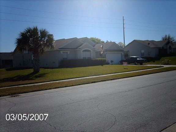 House Front showing property size. Palm Tree is ours. 