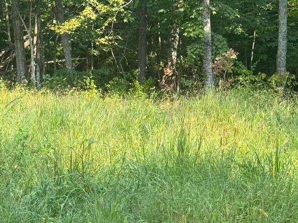 1000 Hidden Acres, Mount Olivet, KY 41064