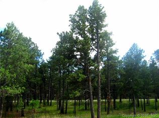 15034 Snowy Pine Point, Colorado Springs, CO 80908