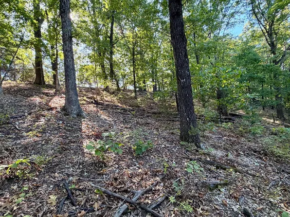 000 Missouri 176, Walnut Shade, MO 65771