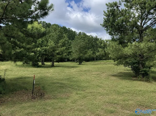 LOT 5 Rachel Ln, Centre, AL 35960