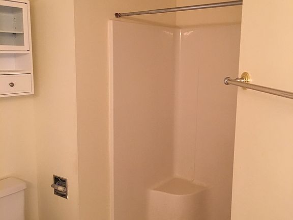 Master Bath Shower