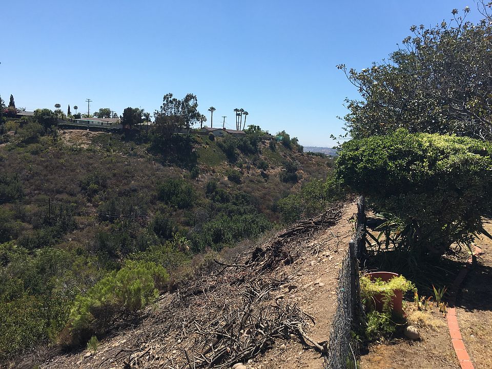 View from backyard