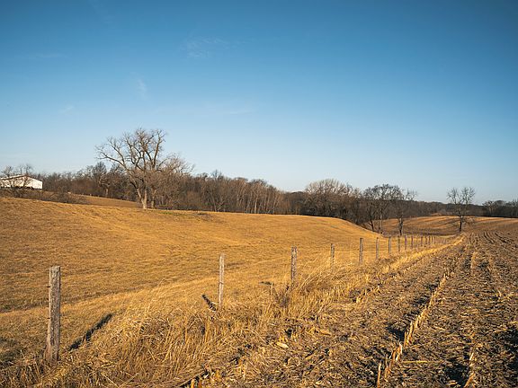 5th image of 651 Spunky Ridge Rd