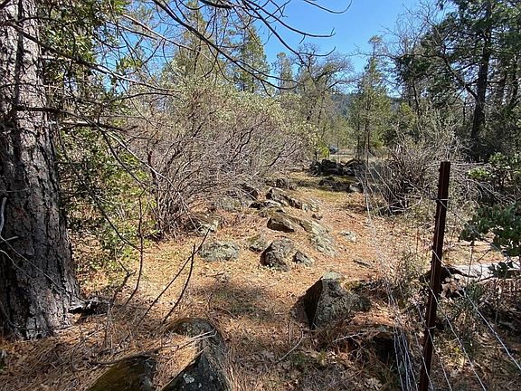 4th image of 17058 Cottontail Ln