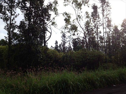 2nd image of Road 9 Koloa Maoli Lot 5449