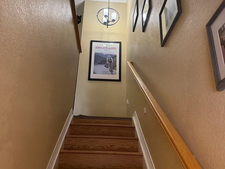 1727 High Plains Ct — Photo 29