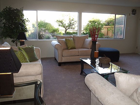 Family Room over looking garden