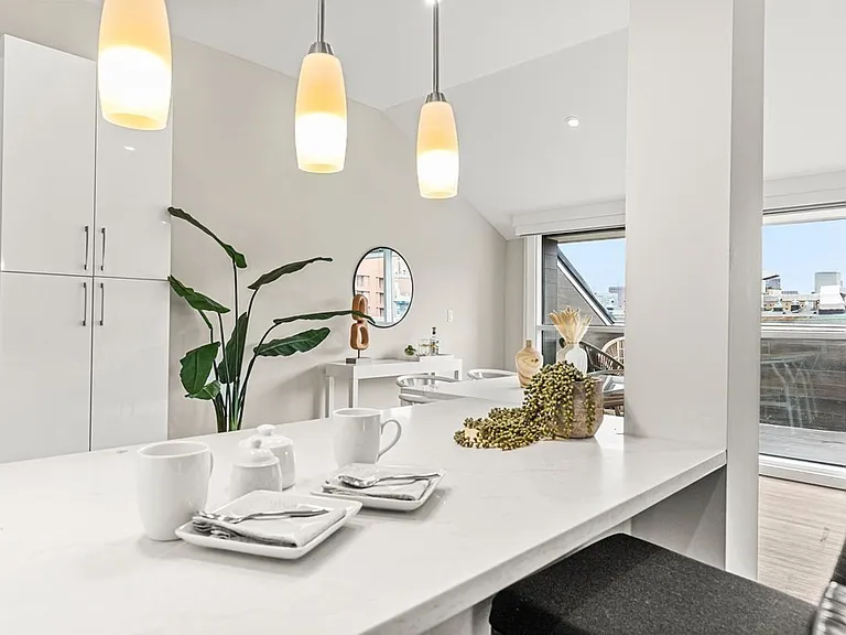 771 Harrison Ave #Penthouse 7 — Photo 6