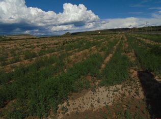 LOT 1 2150th Rd, Austin, CO 81410